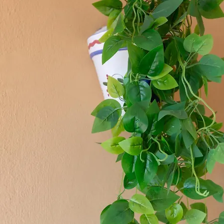 Aguamarina Gamonal Marbella