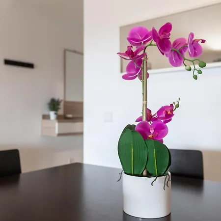 Apartamento Aguamarina Gamonal