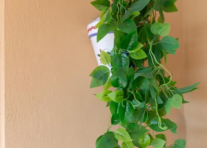 Aguamarina Gamonal Marbella